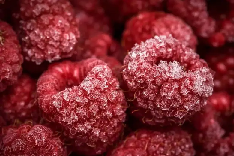 Frutas congeladas para batidos saludables