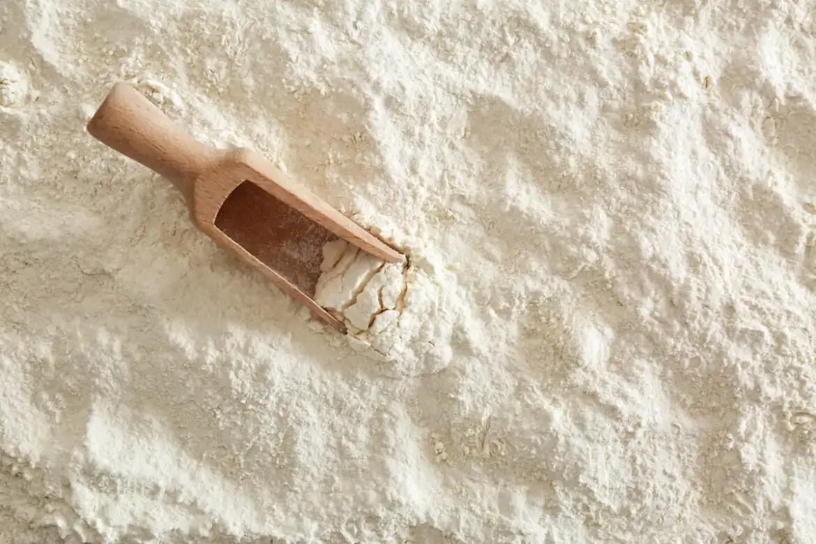 Masa-Harina