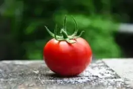 Tomates guisados espolvoreados con queso parmesano para espesar recetas de pasta y pizza casera.
