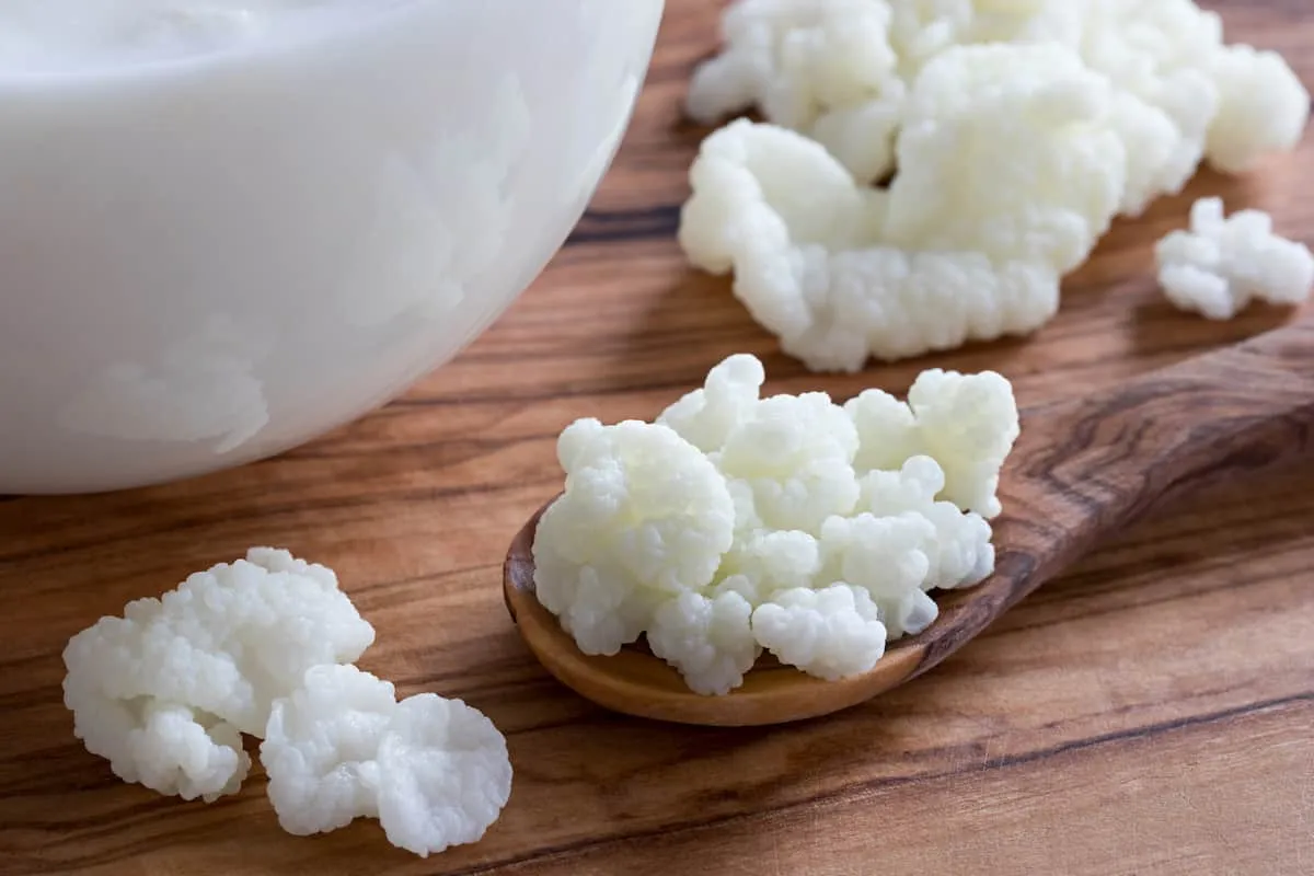 Consejos para congelar granos de kefir caseros