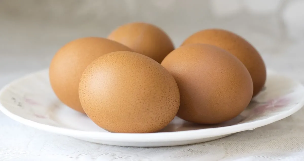 Consejos para congelar huevos de gallina frescos