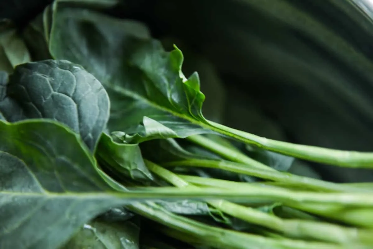 Consejos para congelar verduras sin escaldarlas, técnicas y trucos para preservar la frescura de las hortalizas en casa.
