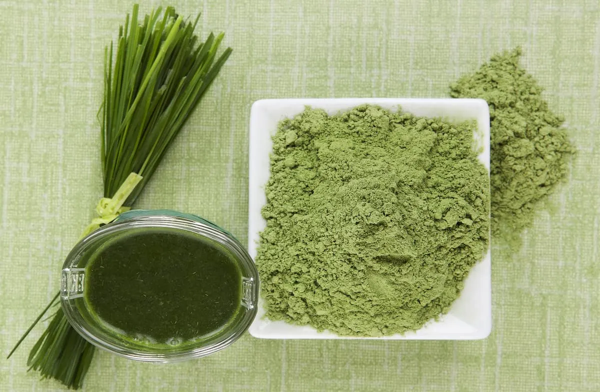 Verduras en polvo sin gluten ni trigo para cocinar recetas saludables y dietas especiales