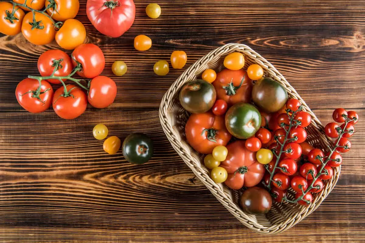 Comparativa entre tomates y bayas de tomate para cocinar