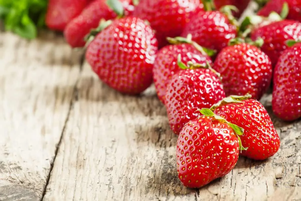 Comprar fresas en tarros, conservas de fresa para postres y recetas con fresas en tarro