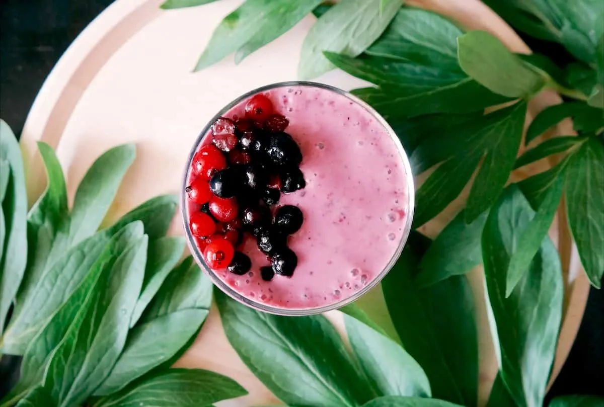 Mejores vasos para batidos de proteínas y smoothies en casa